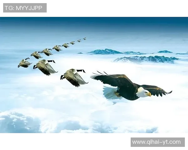 上海1980与生涯俱乐部的对决探索球员成长与团队精神的交汇点