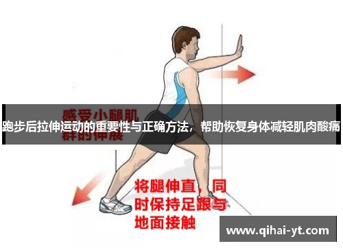 跑步后拉伸运动的重要性与正确方法，帮助恢复身体减轻肌肉酸痛