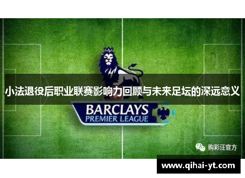 小法退役后职业联赛影响力回顾与未来足坛的深远意义