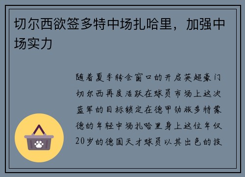 切尔西欲签多特中场扎哈里，加强中场实力